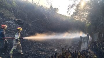 Kebakaran Lahan di Purwakarta Meningkat, Damkar Hadapi Kendala Serius