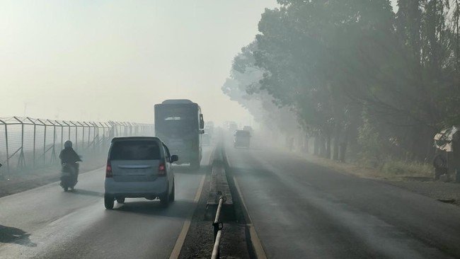 Berita Terbaru: Kebakaran Hutan Ganggu Penerbangan di Banjarbaru, 12 Pesawat Terpengaruh 2